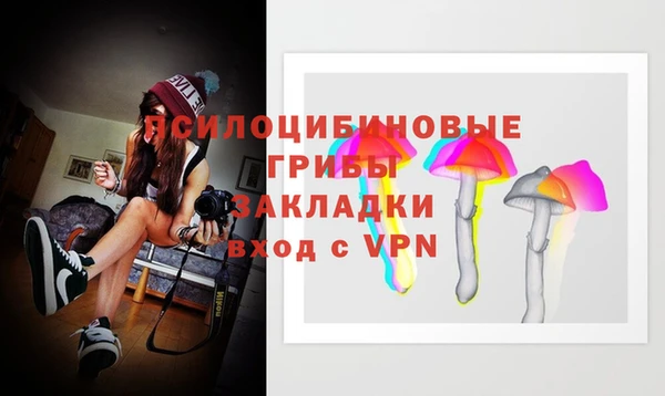 молекула духа Алзамай